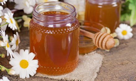 La miel y sus propiedades: antibiótico natural y edulcorante para deportistas