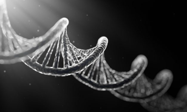 Qué es el ADN. Descubriendo nuestra verdadera identidad