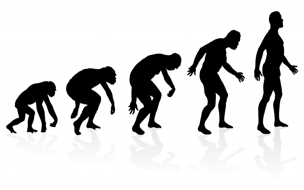 Charles Darwin y la teoría de la (r)evolución