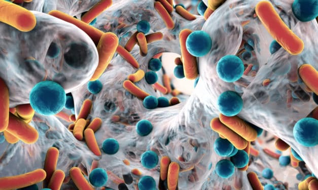 Resistencia a los antibióticos, un problema de salud pública
