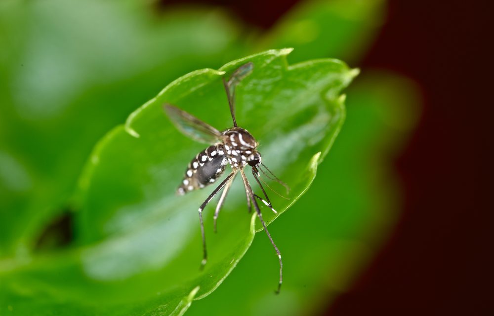La crisis del Virus Zika