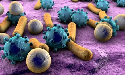 Tuberculosis, VIH y VHC, las enfermedades infecciosas que más preocupan a los profesionales