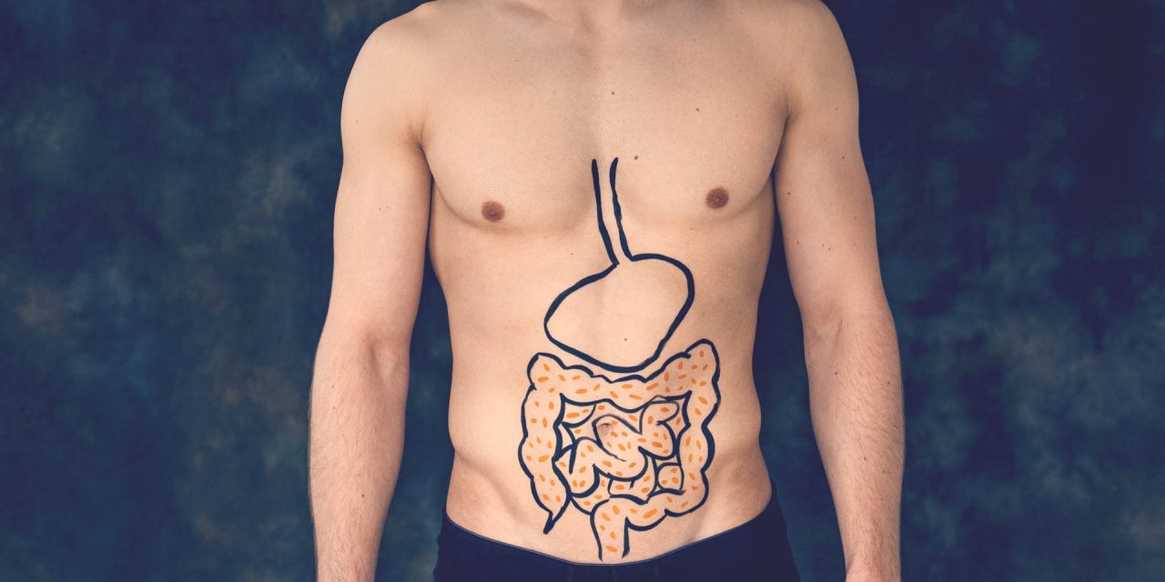 ¿Qué Es La Microbiota Intestinal? Fundamental Para Tu Salud