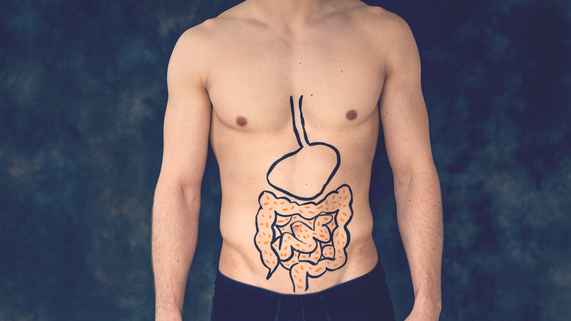 Representación del sistema digestivo y las bacterias que conforman la flora o microbiota intestinal