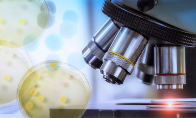 Chiesi crea una nueva unidad de Enfermedades Raras a nivel global