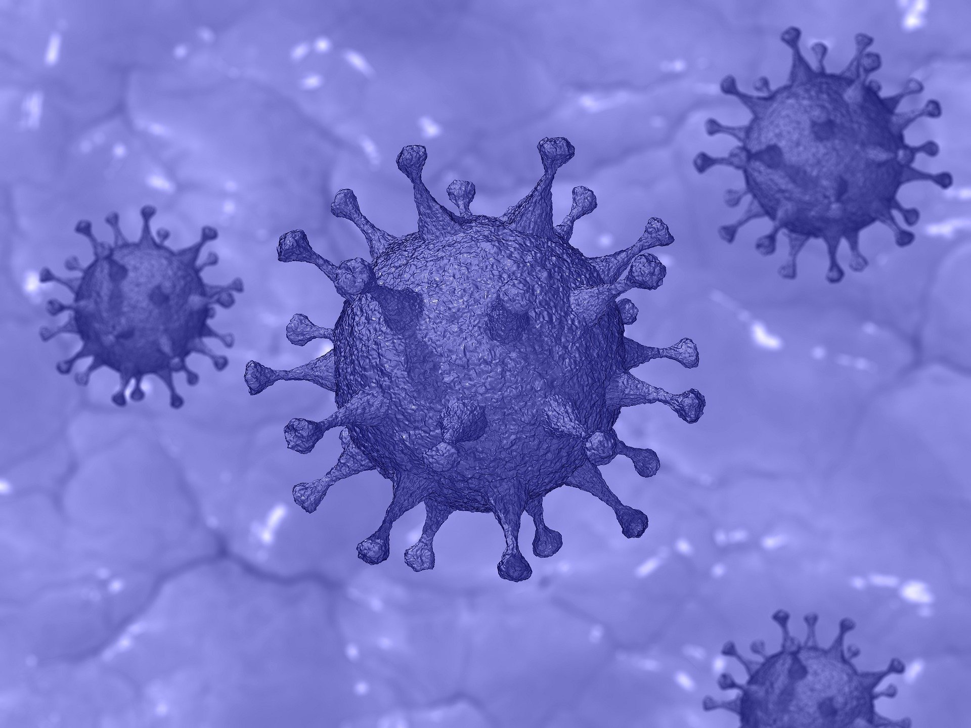 coronavirus