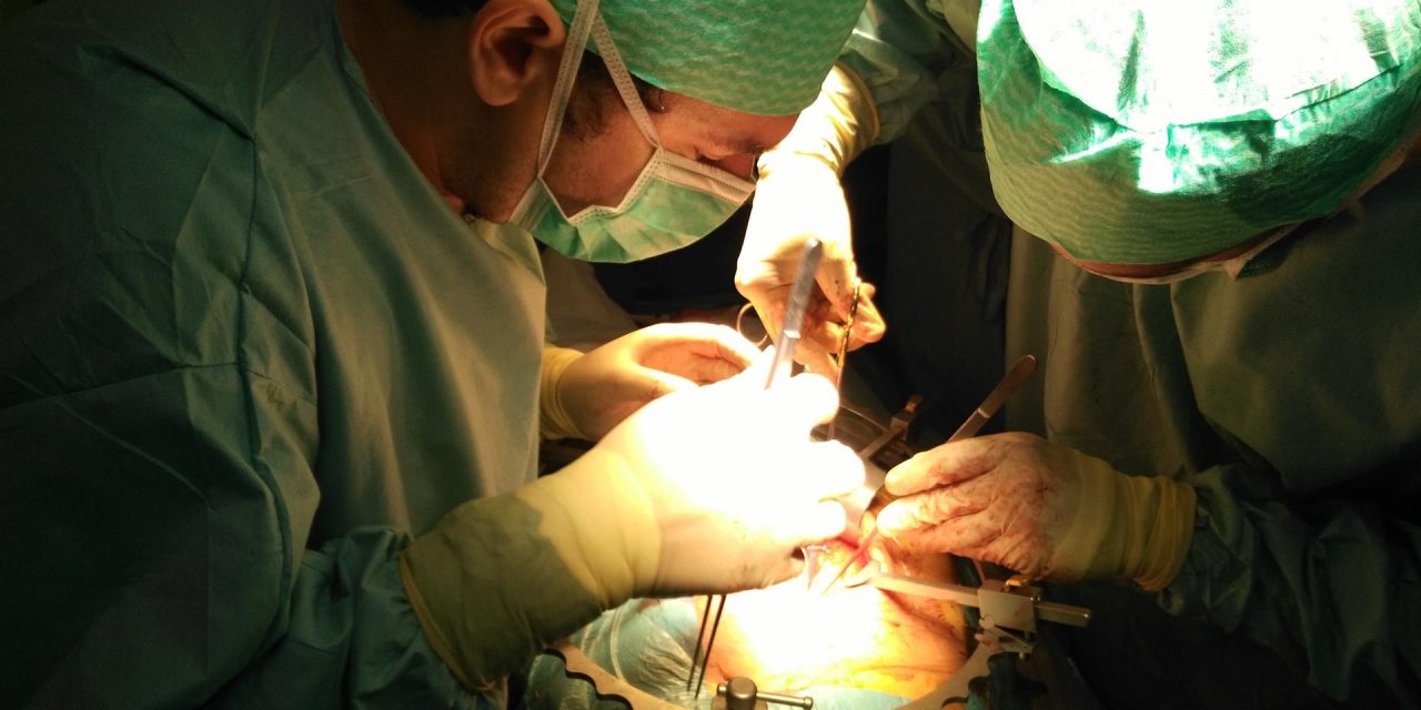 Desde el comienzo del estado de alarma se han realizado poco más de 350 trasplantes de órganos