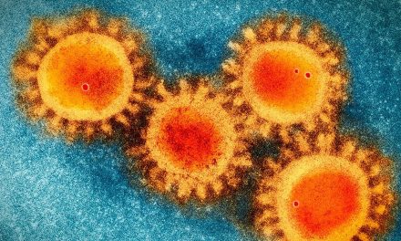 Científicos descubren un anticuerpo que neutraliza y previene la Covid-19