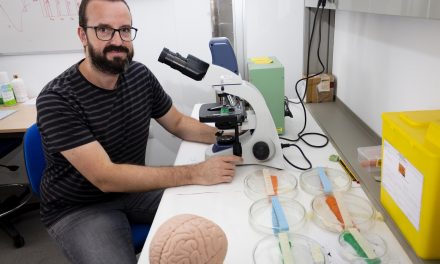 Estudian el desarrollo de cerebros gemelos digitales para la mejora terapéutica de enfermedades neorológicas