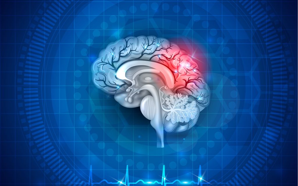 ‘Daño Cerebral App’: información sobre recursos para personas con daño cerebral adquirido