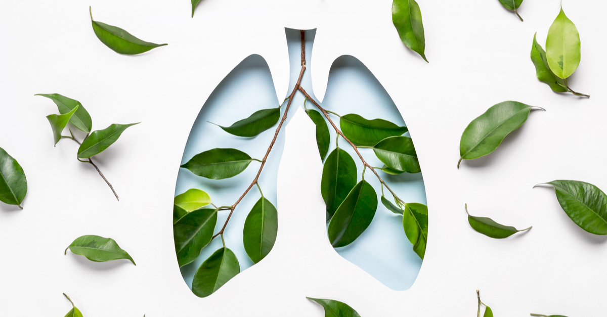 Los pacientes con fibrosis pulmonar idiopática pueden beneficiarse de un trasplante de pulmón