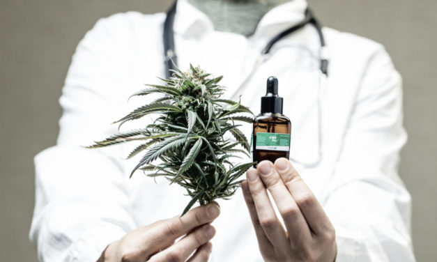 El Gobierno cree que el debate sobre la regulación del cannabis debe abordase desde la perspectiva sanitaria