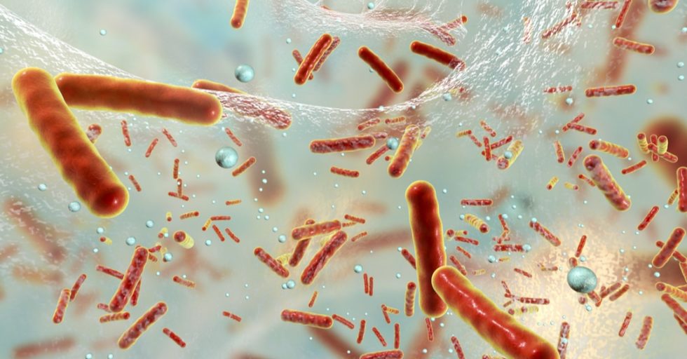 Resistencias antimicrobianas, la amenaza que podría superar al cáncer en mortalidad