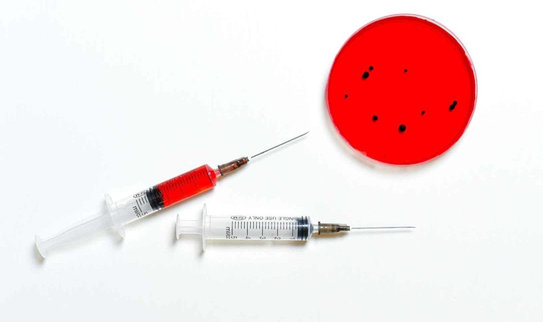Investigadoras del CSIC desarrollarán una tecnología para crear sangre artificial