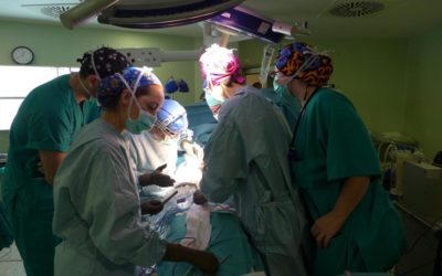 ALCER espera que se aprueben las bajas laborales de donantes vivos de órganos durante 2024