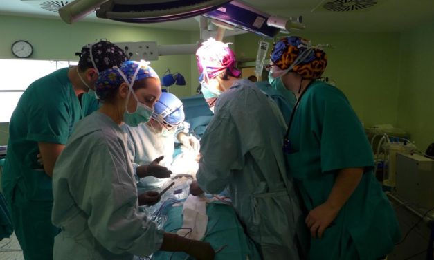 ALCER espera que se aprueben las bajas laborales de donantes vivos de órganos durante 2024