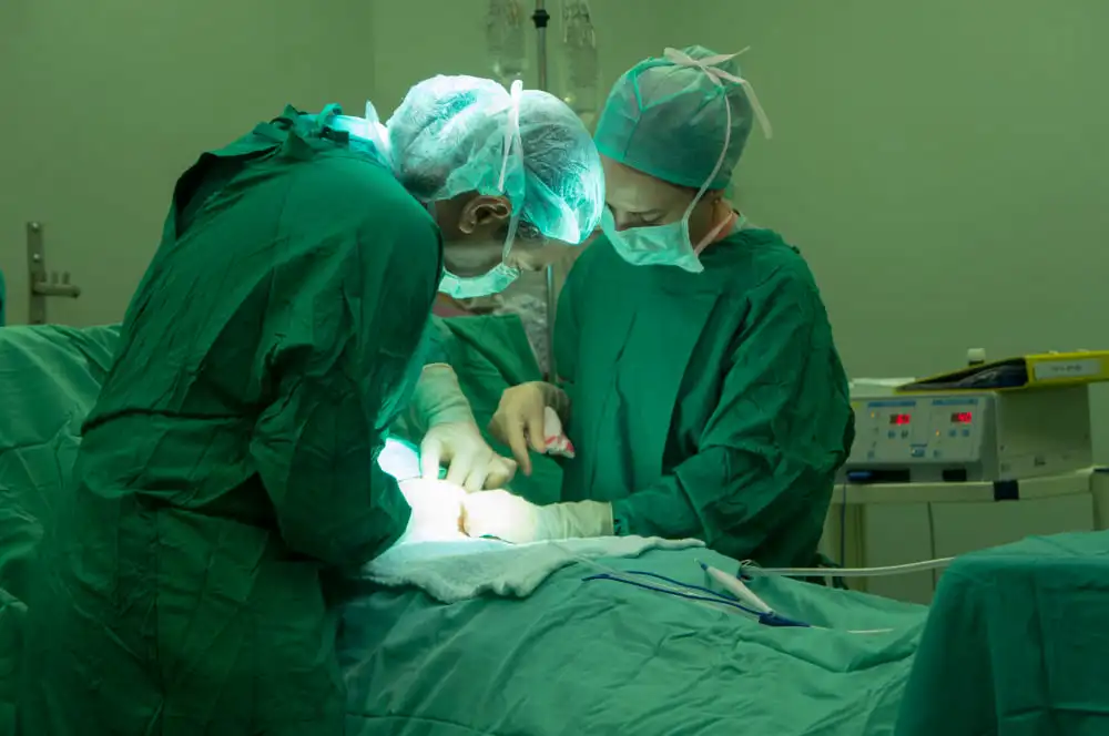 indicaciones para el trasplante hepático