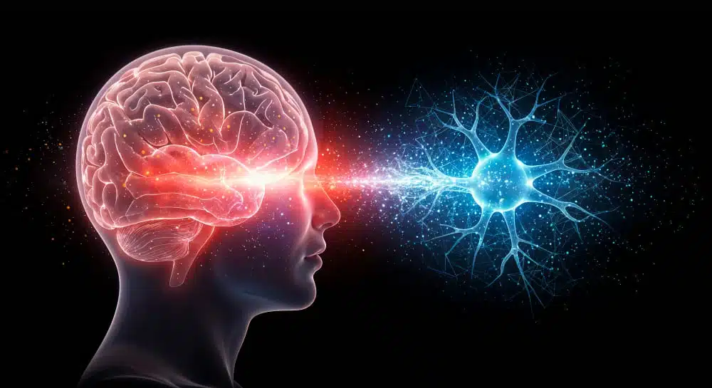 IGF-II, la hormona natural que protege neuronas y abre una nueva vía terapéutica contra el Parkinson