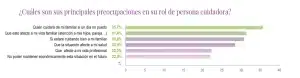Gráfico con las preocupaciones más frecuentes de las personas cuidadoras