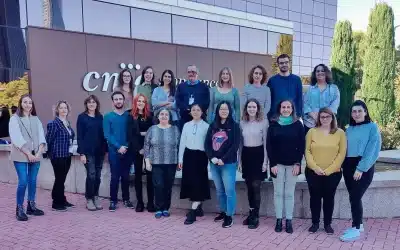 Investigadores españoles logran eliminar tumores de páncreas por completo en ratones utilizando una triple terapia