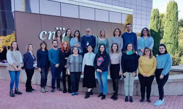 Investigadores españoles logran eliminar tumores de páncreas por completo en ratones utilizando una triple terapia