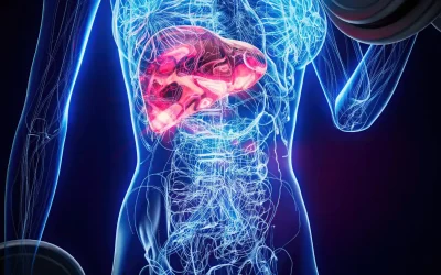 Los endocrinólogos alertan del aumento del hígado graso en niños y jóvenes por el incremento de la obesidad infantil